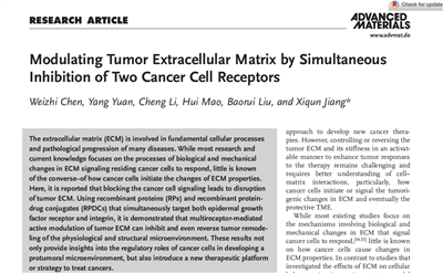 英文文獻(xiàn)Modulating Tumor Extracellular Matrix by Simultaneous  Inhibition of Two Cancer Cell Receptors