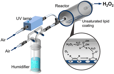 英文文獻(xiàn)（Picarro PI2114）Formation of Gas-Phase Hydrogen Peroxide via Multiphase Ozonolysis of Unsaturated Lipids