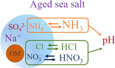 英文文獻（Picarro G2108）Acidity of Size-Resolved Sea-Salt Aerosol in a Coastal Urban Area: Comparison of Existing and New Approaches