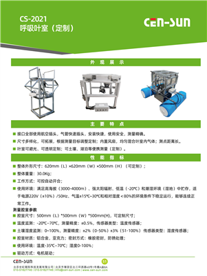 CS2021呼吸葉室（定制）